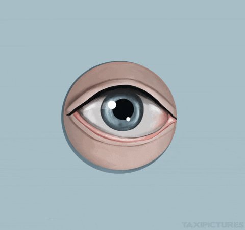 peeping tom voyeur GIF by t...