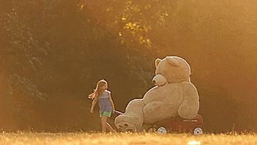 Teddy Bear GIF