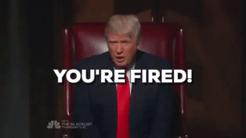 Youre Fired Donald Trump GIF