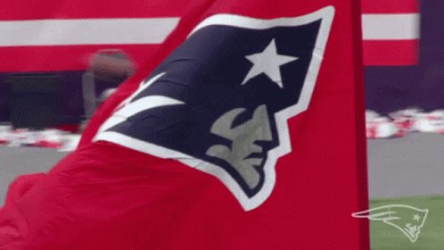 @luisrha's photo on Belichick