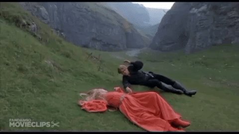 The Princess Bride of course Happy Birthday 