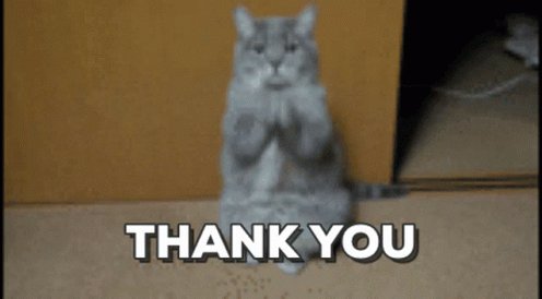 Thanks Thank You GIF