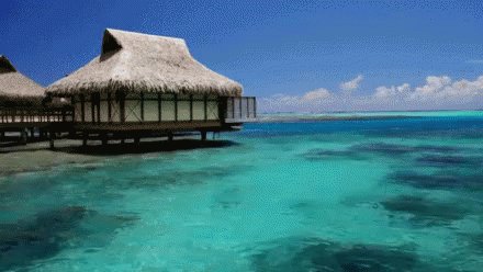 Dominican Republic Beach GIF