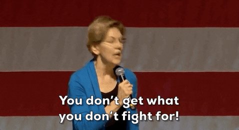 Elizabeth Warren GIF by Election 2020