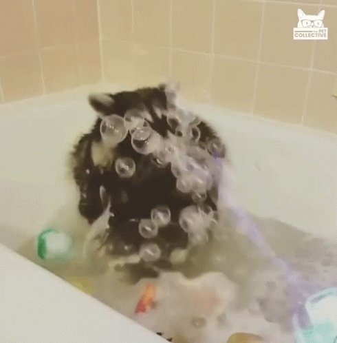 My Bubbles Blow Bubbles GIF