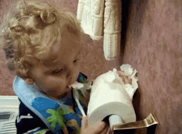 TOILETPAPER Eating GIF