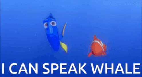 Dory Pixar GIF