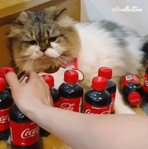 Coca Cola Biting GIF