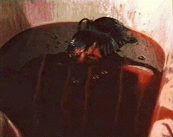 5. Elizabeth Bathory's Anti-aging Ritual Included Bathing In