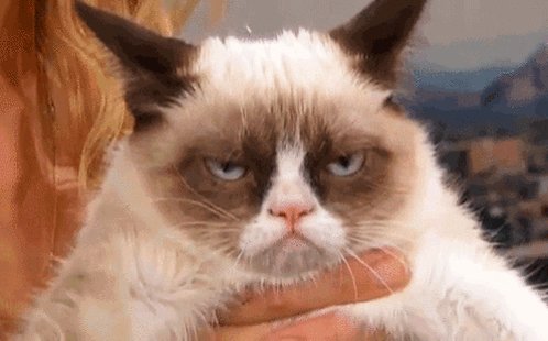 Grumpy Cat Is Grumpy GIF