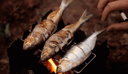 Fish Grill GIF