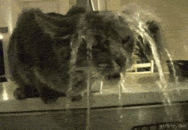 @SAMBANKSFTW Wap wap wap https://t.co/xrroHTre3x