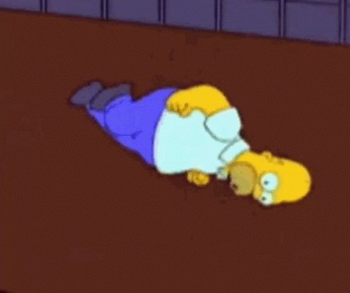 Homer Simpson The Simpsons GIF