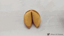 Fortune Cookie Idiot GIF