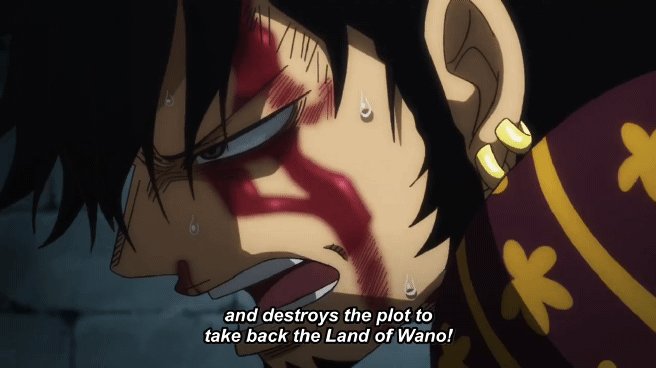 One Piece 996 Leaked Summary Law Could Work With Straw Hats Until The End