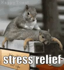 Stress Relief GIF