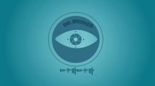 Cyber Big Brother GIF