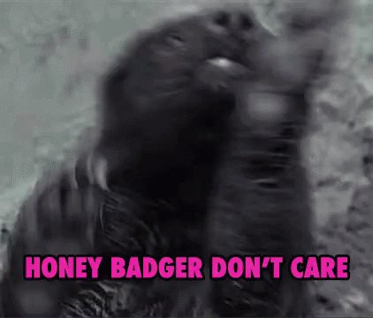 Honey Badger GIF