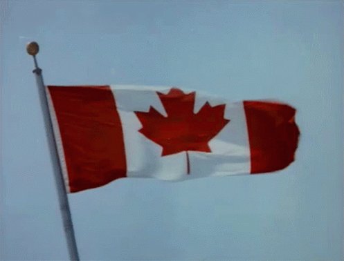 Canada Canadian Flag GIF