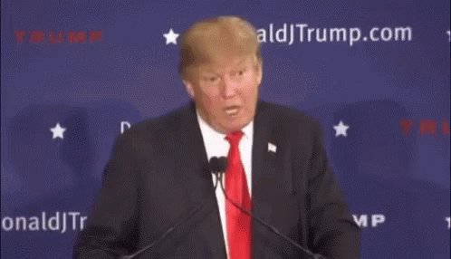 Trump IKnow Words GIF