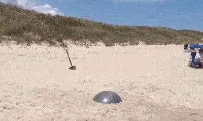 Beach Man GIF