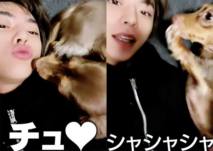 𝒃𝒚 𝑺𝒉𝒐𝒓𝒊𝒏𝒈 勝利くん チャイちゃん T Co Niuwpayysq Sexyzone 佐藤勝利 バズリズム