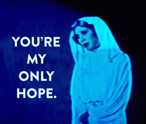 Leia Youre My Only Hope GIF