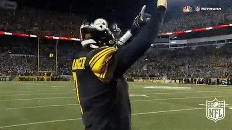 Image for the Tweet beginning: Everyone who took the Steelers