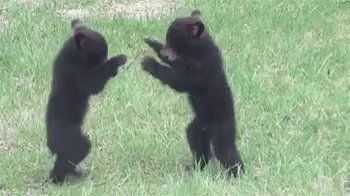 Argue Fight GIF