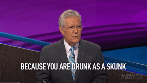 Drunk Alex Trebek GIF by Je...