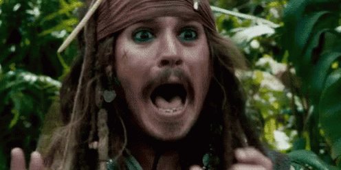 Jack Sparrow Pirates GIF