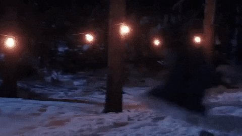 Christmas Vacation Sled Gif