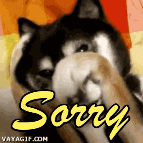 Sorry GIF by swerk