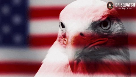 4Th Of July America GIF by ...