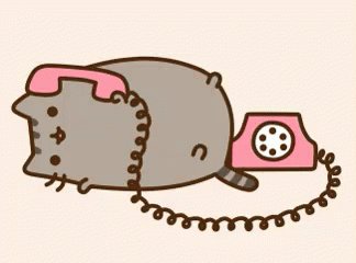 Pusheen Phone GIF