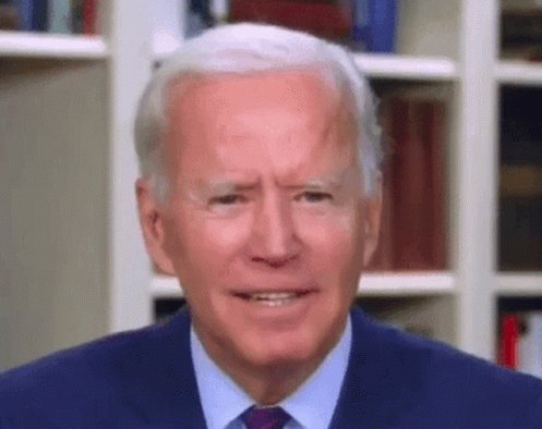 Joe Biden GIF