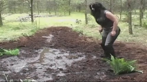 Stuck In Mud GIF