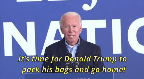 Joe Biden GIF by Election 2020