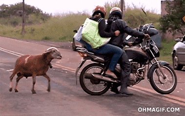 motorcycle GIF