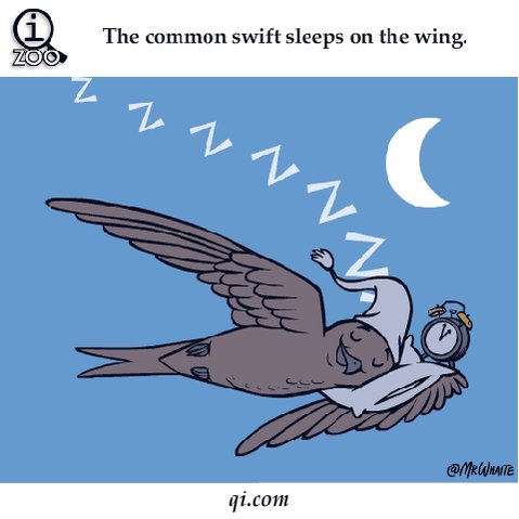 facts sleeping GIF