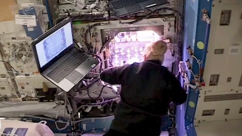 Mientras se preparaban para dar la bienvenida a los astronautas de Crew-1 al @Space_Station, la tripulación pasó la semana trabajando en investigaciones de microgravedad, incluyendo examinar el crecimiento de plantas y metal fundido. #LaunchAmerica
👉 https://t.co/Rw0sMb1Lhm https://t.co/yvGW8P2MRK