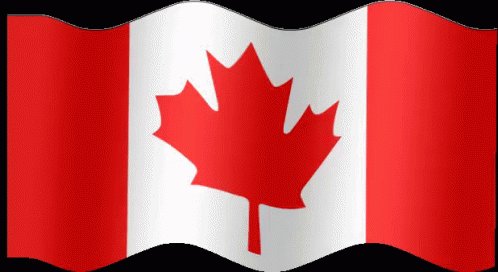 Canadian Flag GIF