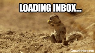 Email Squirrel Lots Of Emails GIF