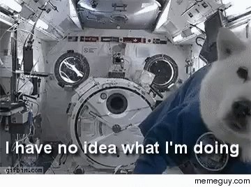 Doge Space GIF
