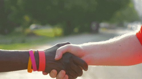 Shaking Hands Handshake GIF