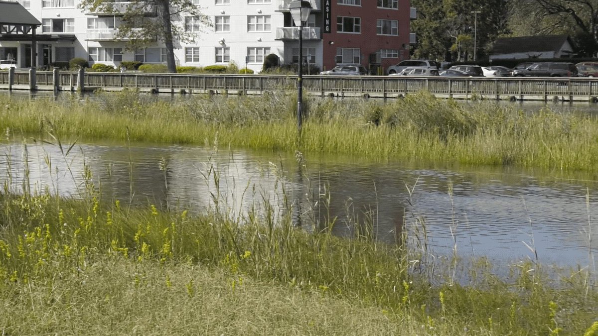 El ritmo al que crecen los océanos se ha acelerado en las últimas décadas. Para entender mejor cómo el aumento del nivel del mar afectará a la humanidad, los científicos requieren de largos registros climáticos, algo que Sentinel-6 Michael Freilich ayudará a proporcionar. https://t.co/rWxyVXEGTx