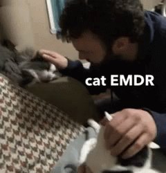 Cat EMDR GIF