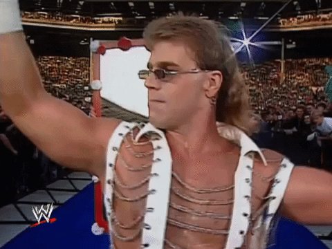shawn michaels dancing GIF by WWE