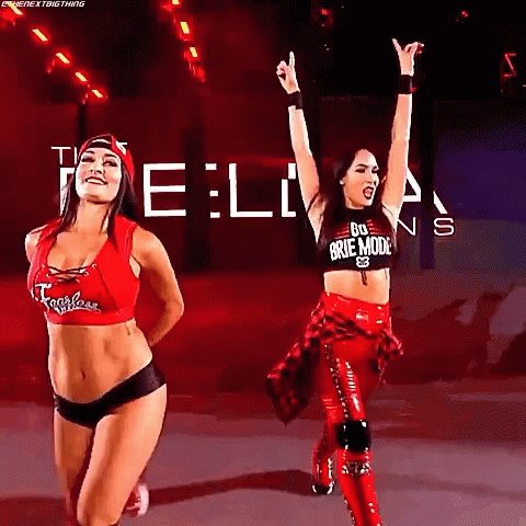 Happy Birthday to The Bella Twins 