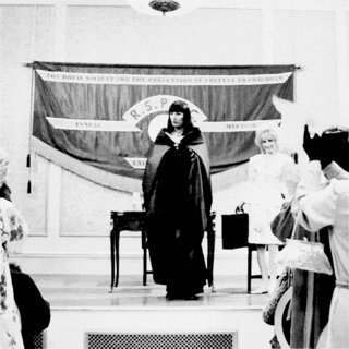 anjelica huston witch GIF